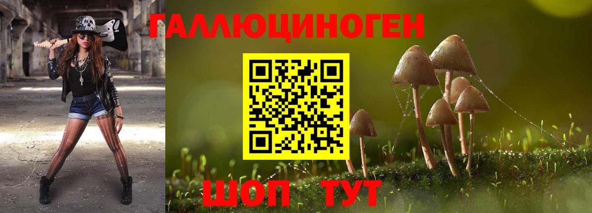 Галлюциногенные грибы Cubensis Кушва